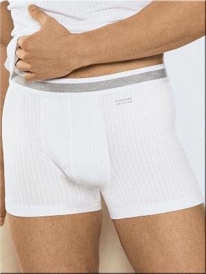 Shorts Schiesser Authentic
