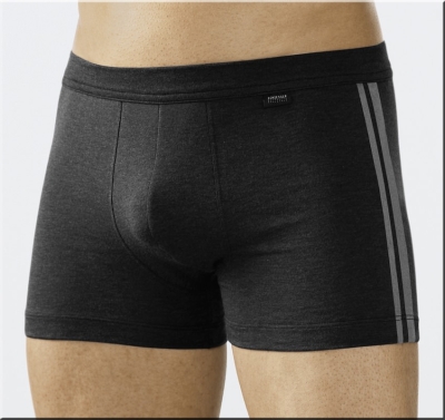 Shorts Bluebird Cotton