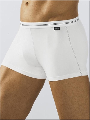 Shorts Bluebird Skin