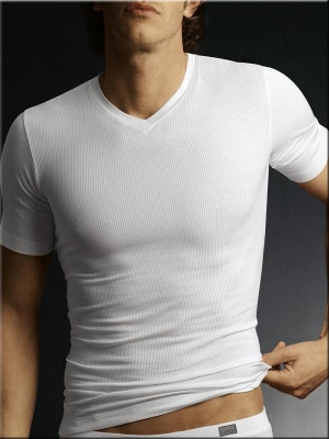 Shirt 1/2 Schiesser Selection Style