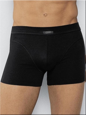 Shorts Bluebird Elastic