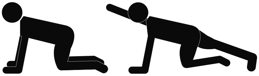 On hands and knees - keep legs on the ground
