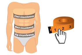 Underwear size calculator for men