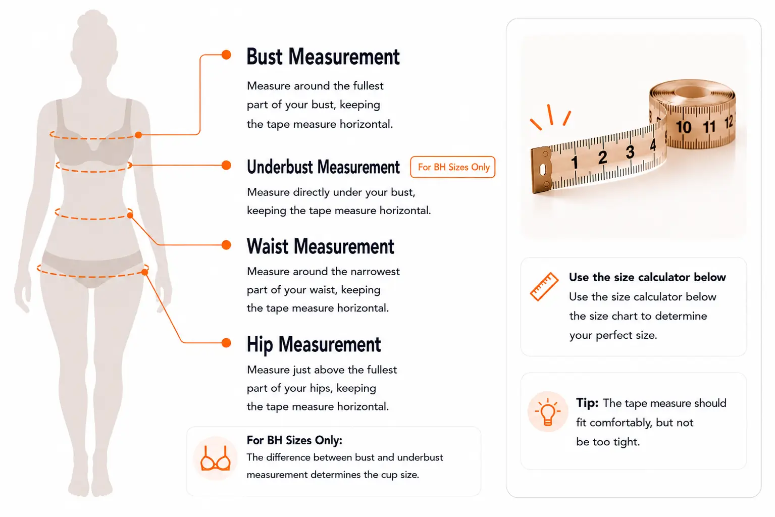 Underwear Size Chart: How to Measure Your Body Correctly