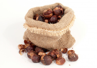 Original Indische Waschnuss Schalen - ab 50g