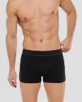 Shorts SCHIESSER Seamless Active