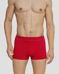 Shorts SCHIESSER Seamless Active