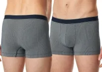 Herren Shorts SCHIESSER Duality Function - navy gestreift