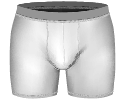 Alle langen Herrenslips / Shorts ansehen
